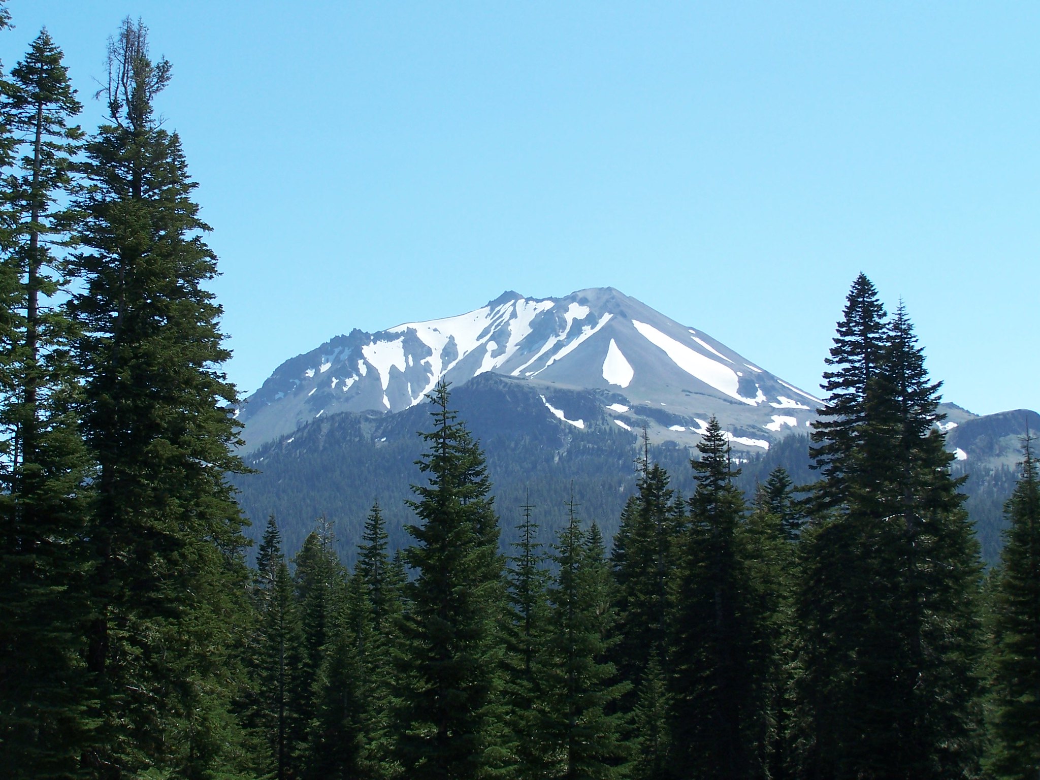 We Are Bombarding America’s Forests With Roundup