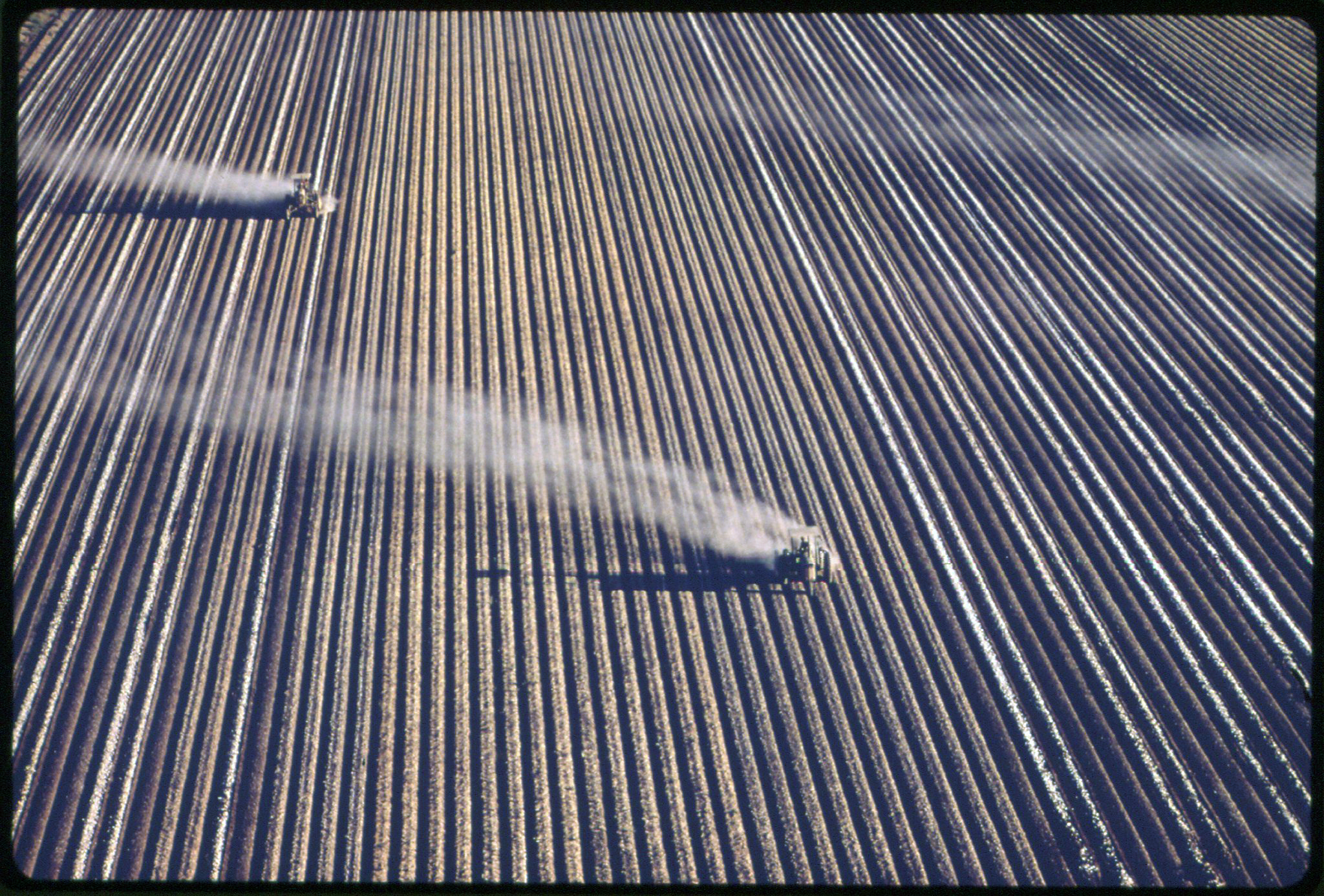 Why The War in Iran Could Trigger the Worst Global Food Crisis Since the 1970s