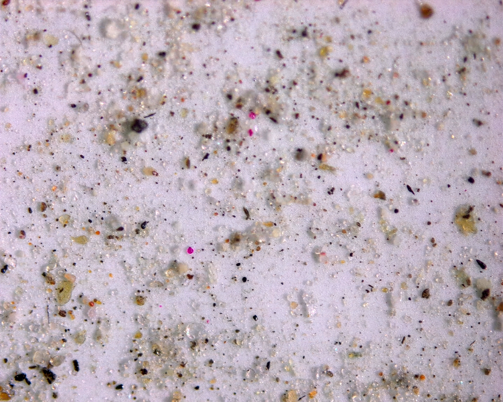 Scientists Identify Another Contributor to Global Warming—and It’s Everywhere