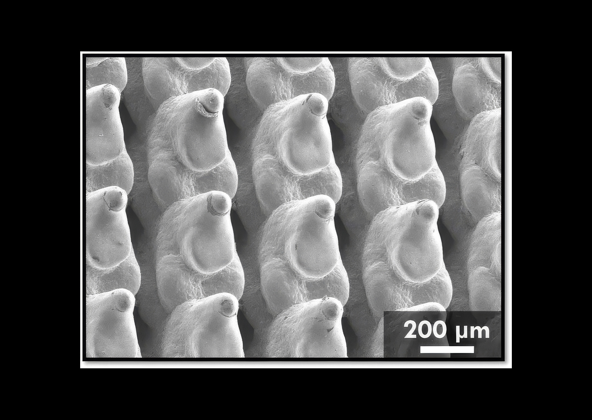 Cooling copper plates could slash data center energy use by 90%