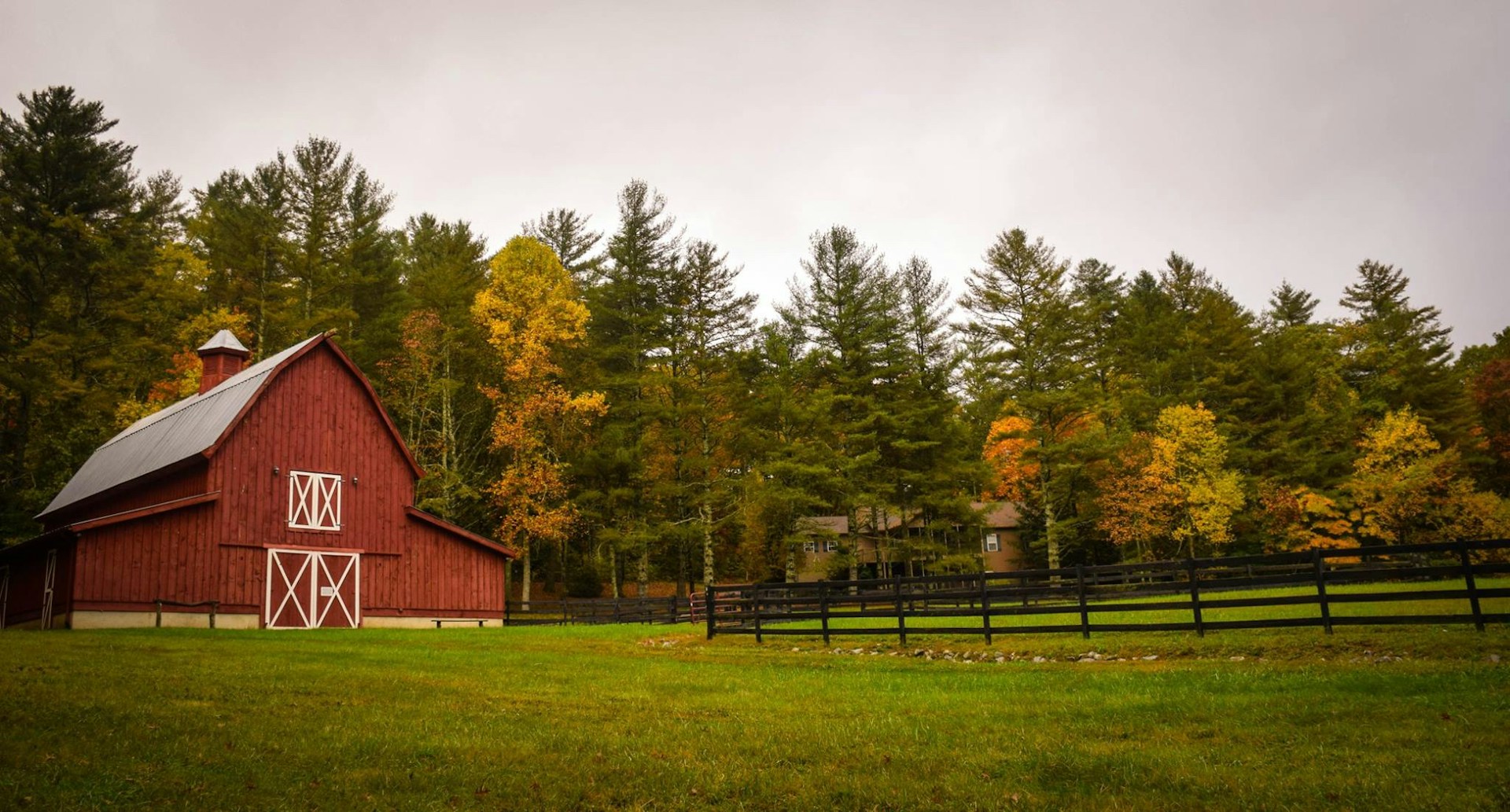 American Farmers are Reaping a Bitter Harvest