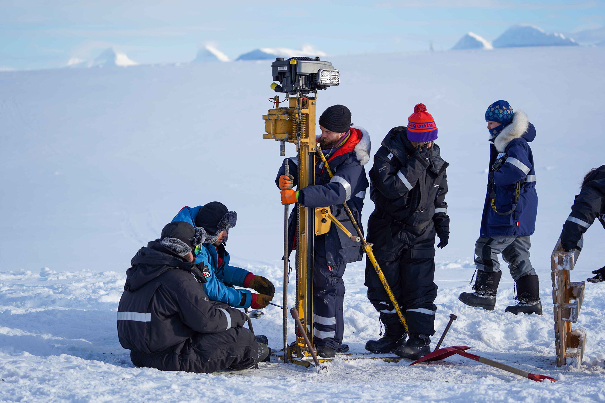 Thawing Arctic soil awakens only half of soil microbes, new study reveals