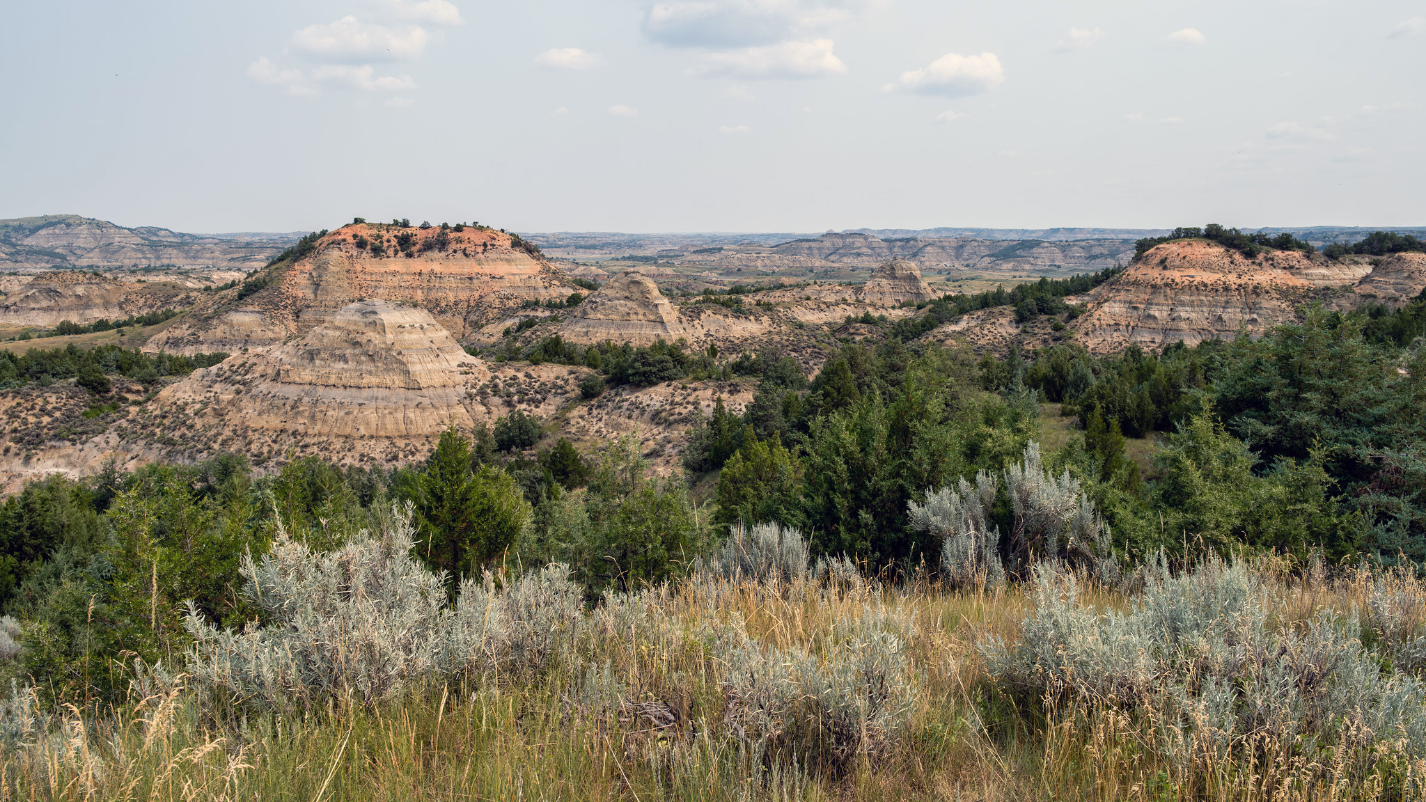 Find Painted Canyons, Roaming Bison, and Scenic Drives In This Ruggedly Beautiful National Park