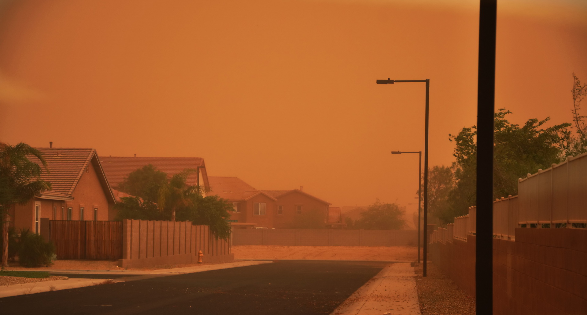 Apocalyptic “Fungal Storms” Are Now Surging Across the US