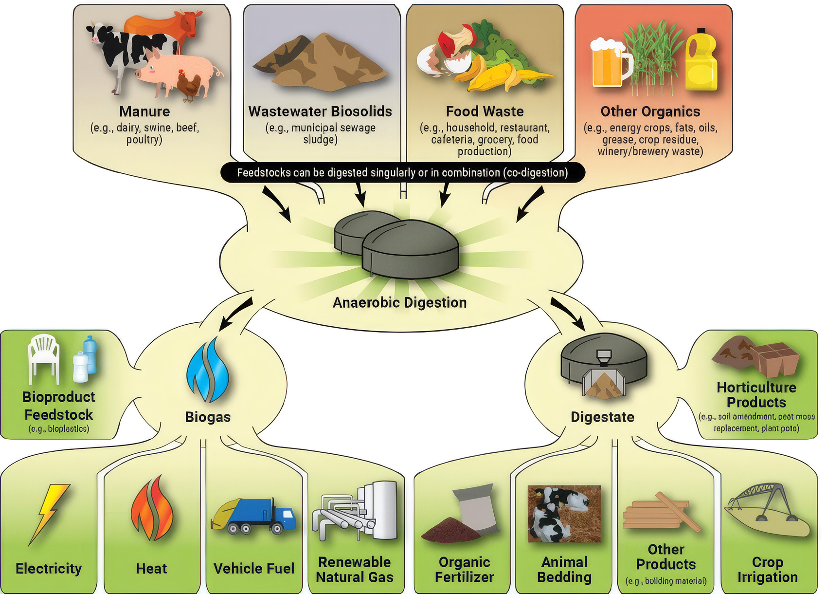 Cow Manure Could Be the Next Data Center Fuel
