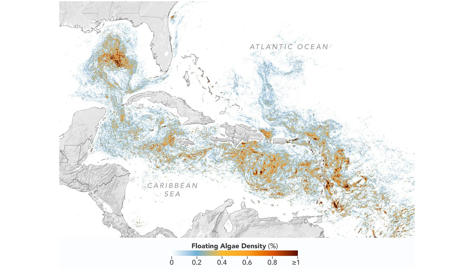 NASA Map Reveals Record Blob of Vacation-Wrecking Seaweed