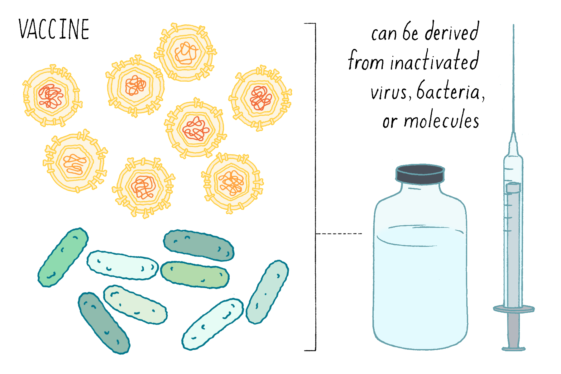We’re one step closer to a cancer vaccine