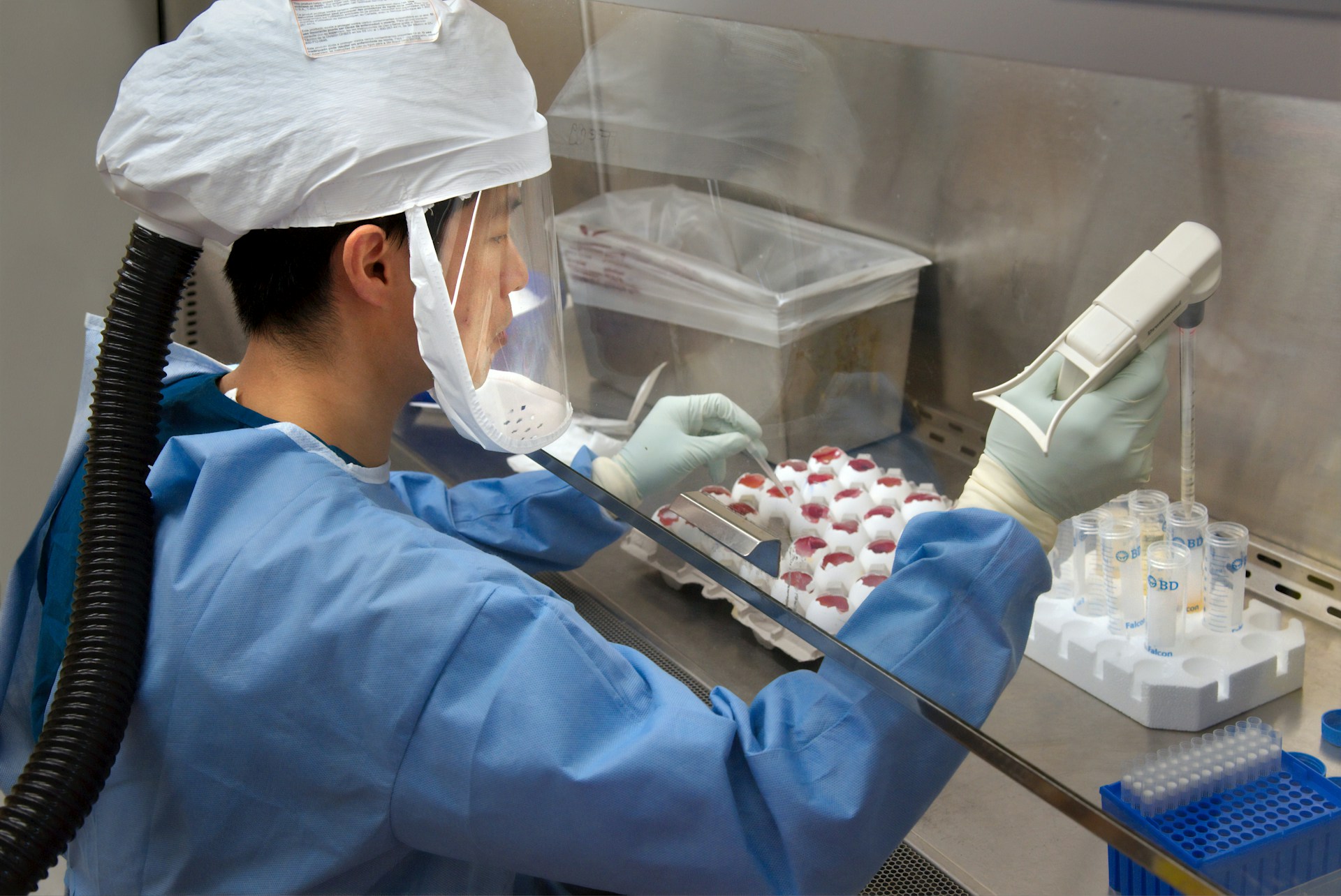 ‘The governance does not exist’: AI just designed 16 viruses from scratch