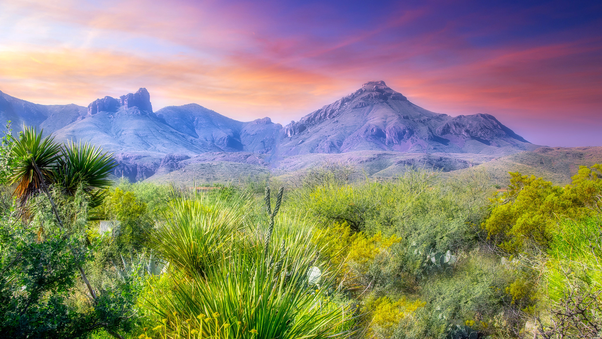 Landowners in Texas' Big Bend Region Fight Trump Administration's Attempts To Seize Land for Border Wall
